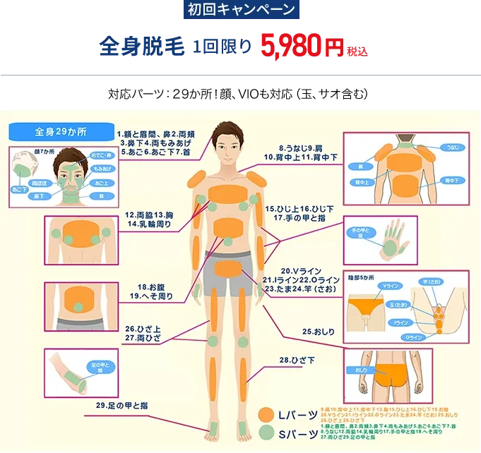 全身脱毛キャンペーン