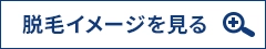 脱毛イメージを見る